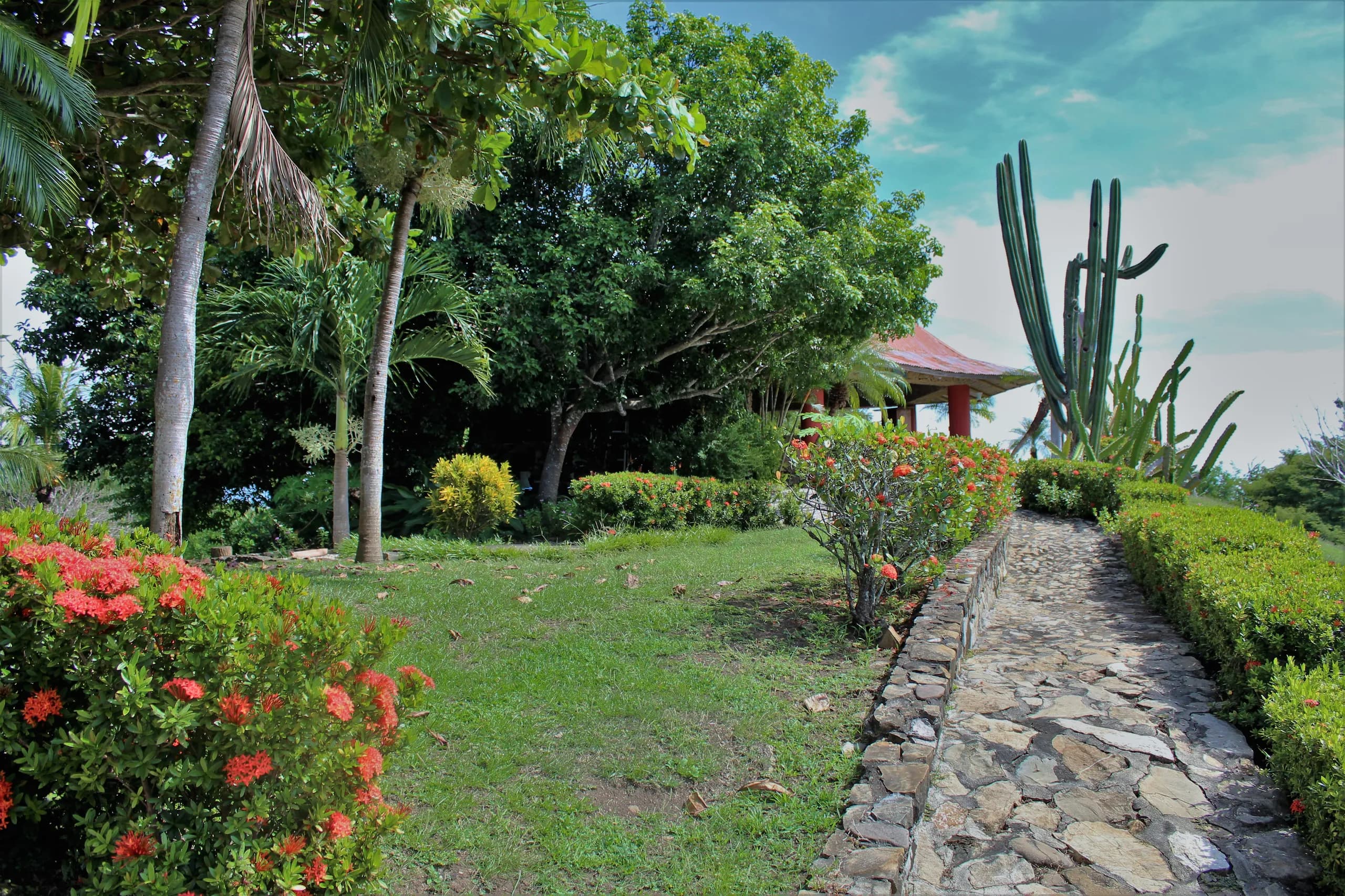 Garden path through Soltara's tropical grounds